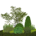 Different Shaped Green Shrubs Growing With Various Plants Under Blue Sky