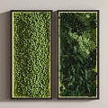 Green Plant Wall Grassland Green Plant Wall Plant Wall Moss Wall Moss Green Plant Wall Grassland 3d model