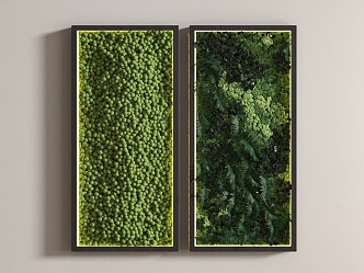 Green Plant Wall Grassland Green Plant Wall Plant Wall Moss Wall Moss Green Plant Wall Grassland 3d model