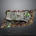 Natural Wood and Stone Decorative Piece With Mossy Surface and Earthy Textures