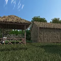 Rustic Thatched House And Wooden Pavilion In Green Grass With Trees Under Blue Sky