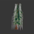 Evergreen Tree With Lush Green Foliage And Brown Trunk In Upright Shape