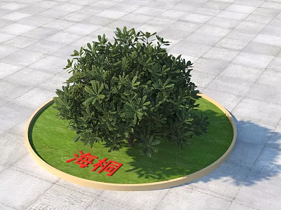 Lush Green Pittosporum Tobira Shrub in Circular Grassy Area on Stone Pavement 3d model