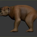 Brown large animal in standing posture with prominent facial features and sharp claws