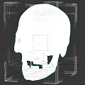 Detailed Human Skull Anatomical Structure With Eye Sockets Teeth Isolated On Dark Background