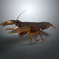 Realistic 3D Lobster Model With Brown Yellow Coloration And Large Claws On Gray Background