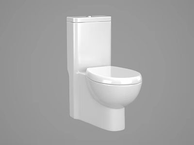 Modern toilet 3d model