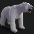 Realistic White Polar Bear Standing On Black Background With Fur Details 3d model
