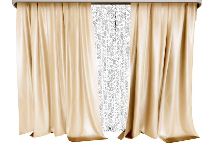 Beige Layered Curtains With Sheer Patterned Panel For Home Window Decor 3d model