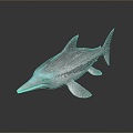 shark great white shark whale shark hammerhead shark tiger head shark man-eating shark blue shark coral red coral white coral 3d model