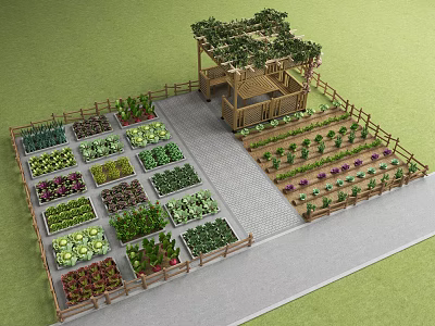 Rural Landscape Featuring Neat Vegetable Garden Plots Wooden Pergola And Fenced Pathway 3d model
