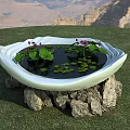 White Bowl Shaped Aquarium Supported By Rocks With Lotus Leaves And Purple Flowers On Grass