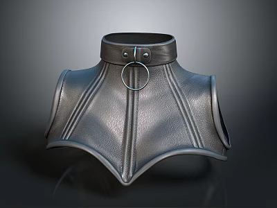 Fashionable Black Leather Sleeveless Vest Featuring High Collar And Metal Ring Stitched Design 3d model