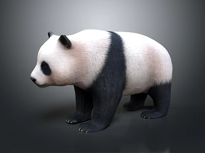 Cute Giant Panda With Black And White Fur In Standing Posture On Neutral Background 3d model