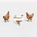 Three Brown Chickens Standing on White Background with Realistic Details 3d model