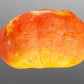Ripe Orange Pumpkin with Spotted Surface and Stem on Gray Background 3d model