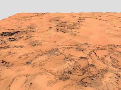 Vast Red Desert Landscape With Undulating Sand Dunes And Black Traces On Arid Ground 3d model