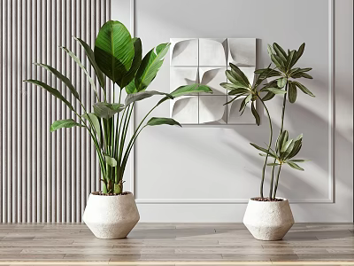 Indoor Potted Plants in White Pots on Wooden Tabletop with Gray Striped Wall and Panel 3d model