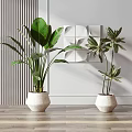 Indoor Potted Plants in White Pots on Wooden Tabletop with Gray Striped Wall and Panel