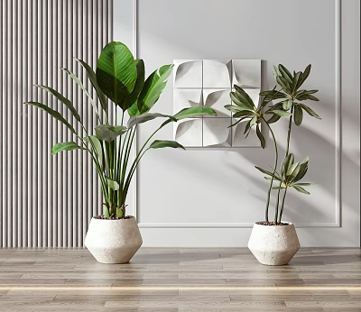 Indoor Potted Plants in White Pots on Wooden Tabletop with Gray Striped Wall and Panel 3d model
