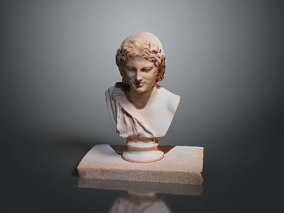 Human Anatomy Head Model For Professional Medical Education And Training Use 3d model