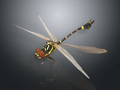 Flying Dragonfly With Red Eyes Black And Yellow Stripes And Transparent Wings 3d model