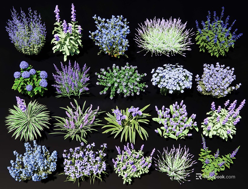 Assorted Ground Cover Plants Featuring Purple Blue Green Flowers for Garden Landscaping 3d model 