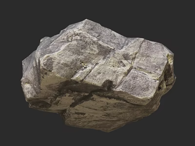 Natural Rock With Surface Texture And Visible Cracks In Natural Scene 3d model