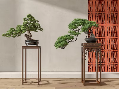 Elegant Bonsai Trees Placed on Wooden Stands Against White Wall and Red Lattice Screen 3d model