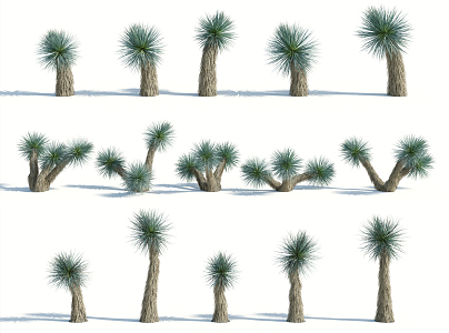 Modern Palm Tree 3d model