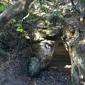 Natural Cave Entrance Scenery Surrounded by Trees and Vegetation with Sunlight Through Leaves