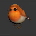 Adorable Orange and White Bird with Big Black Eyes Standing on Dark Surface Showing Reflection