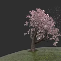 Botanical Painting of Pink Flowering Tree With Falling Petals and Green Grass