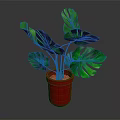 Lush Green Monstera Plant With Large Leaves In Red Pot On Gray Background
