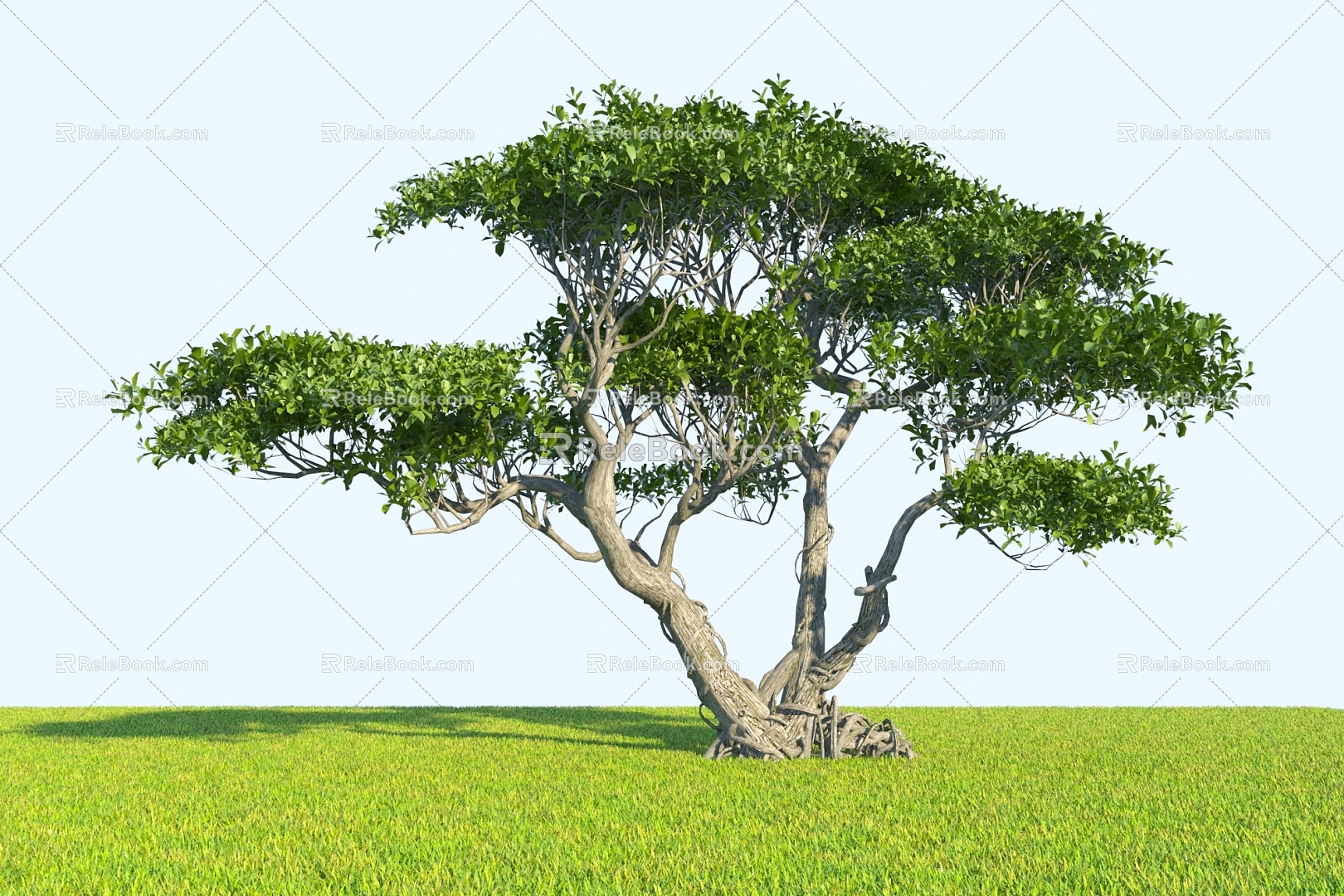 Modern Modeling Rhododendron Old Pile Modeling Tree 3d model