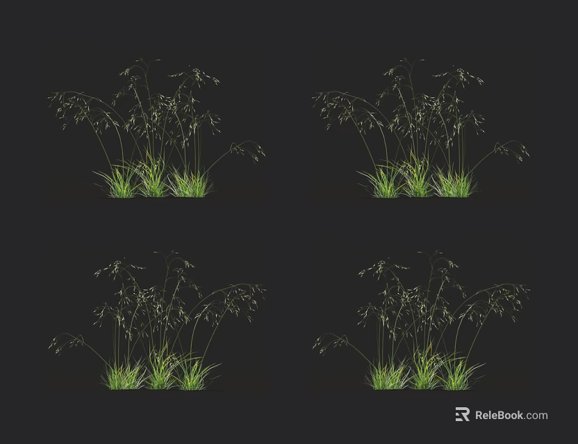 Four Identical Green Grasses With Slender Leaves And Drooping Spikelets On Black Background 3d model 
