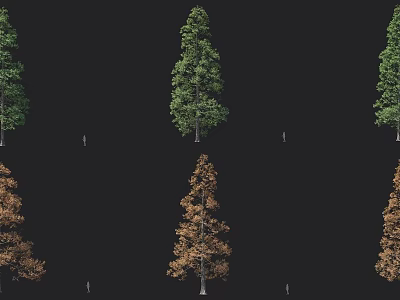 Tall Arbor Trees With Green And Brown Foliage In Natural Landscape Setting 3d model