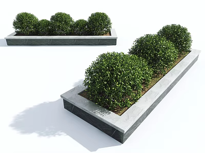 Well-trimmed Green Decorative Shrubs in Rectangular Planter Boxes for Outdoor Garden 3d model