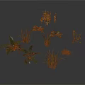 Various Types of Green Plants Including Ferns and Herbs Arranged on Gray Background