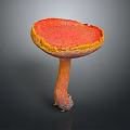 Mushroom Organ Structure With Red Cap Yellow Edge And Hair Like Texture