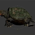 Detailed 3D Rendered Turtle With Green Textured Shell And Orange Head On Dark Background