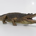 Large Aquatic Reptile Crocodile With Open Mouth And Scaly Skin Features