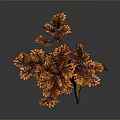 Decorative 3D Model Tree With Dark Red Trunk Yellow Tipped Roots And Orange Leaves