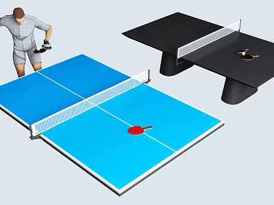Ping Pong Room Interior With Blue And Black Tables Paddles And Balls 3d model