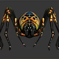 Colorful Spider With Vibrant Yellow Blue Patterns And Long Legs