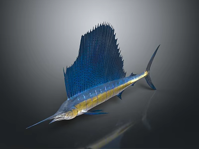 Sailfish With Blue And Yellow Body Large Dorsal Fin And Pointed Bill 3d model