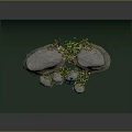 Natural Wood and Stone Decorative Display With Green Yellow Plants and Gray Backdrop
