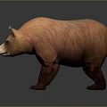 Brown Bear 3D Model With Orange And Brown Fur Standing On Dark Background
