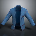 Blue Stylish Suit Jacket With Front Buttons Side Pockets And Classic Collar 3d model