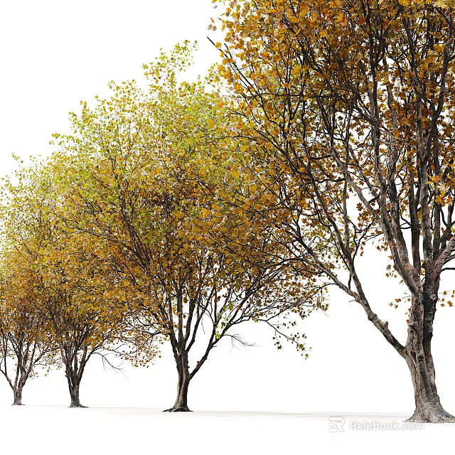 Autumn Trees With Yellow And Green Foliage In Row Tall Trunks And Lush Branches 3d model 